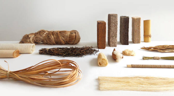 Phytophilia, Sara Martinsen, Culturesphere, Ingrid Ruegemer